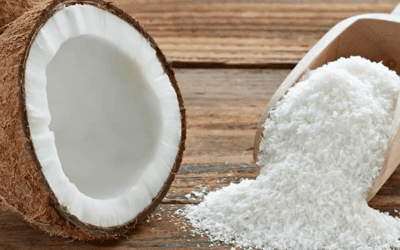 Desiccated Coconut Processing Machine & Advanced Drying Systems