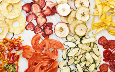 Complete Fruit & Vegetable Dehydration Plant Manufacturing in India: Industrial Belt, Band & Heat Pump Dryers