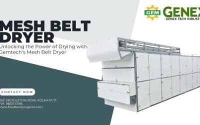 Unlocking the Power of Gemtech’s Mesh Belt Dryer for Efficient Drying