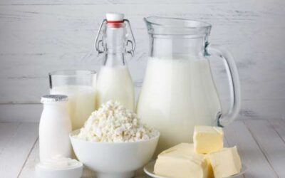 Milk Powder & Dairy Dryer Manufacturers in India: Industrial Spray Drying Systems
