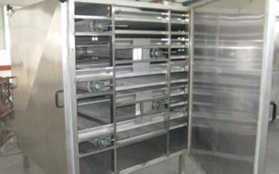 Revolutionizing Food Dehydration with High-Efficiency Mesh Belt Dryers