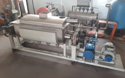 Maximizing Processing Efficiency: The Ultimate Guide to Industrial Paddle Dryers