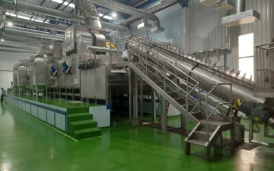 Industrial Band Dryer: Complete Guide to Continuous Drying Technology for Large-Scale Processing