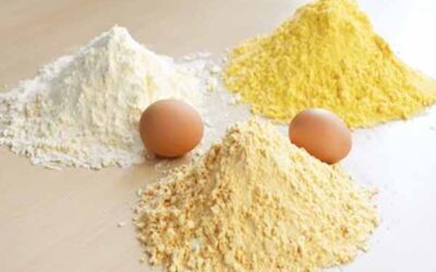 Preventing Protein Denaturation in Egg Drying