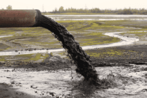 Industrial Sludge Dryer Manufacturer