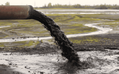 Industrial Sludge Dryer Manufacturer: The Ultimate Guide to Advanced Wastewater Sludge Drying Plants