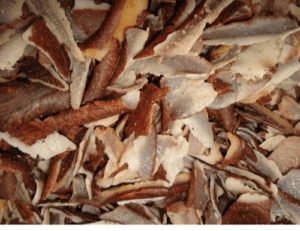 Coconut Paring Dryer Manufacturer