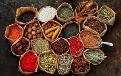 The Blueprint for Commercial Success: Choosing the Right Ginger, Turmeric, and Garlic Processing Plant & Machinery Manufacturer
