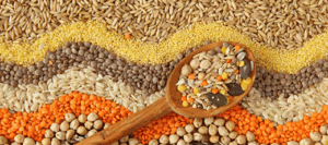 Industrial Grain Drying Systems