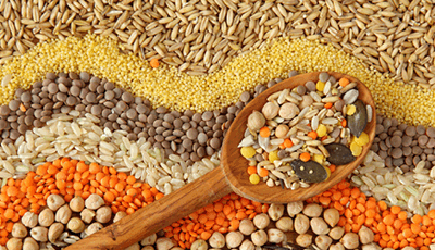 The Science of Post-Harvest Preservation: Choosing the Right Industrial Grain Dryer
