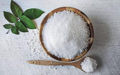 The Ultimate Guide to Choosing a Salt Dryer & Processing Plant and Machinery Manufacturer