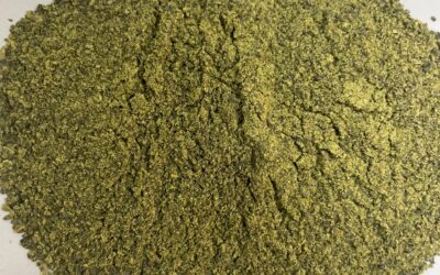 Seaweed Dehydration Machine: The Ultimate Guide to Industrial Drying Solutions