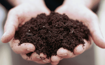 Convert digestate from a disposal problem into a profitable fertilizer product using GTI’s energy-efficient belt drying and fertilizer processing systems.