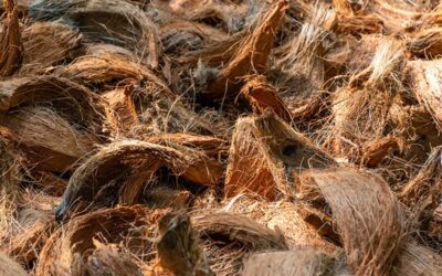 The Roadmap to Zero-Waste Coir Processing: Insights from Leading Coconut Fibre Machinery Manufacturers