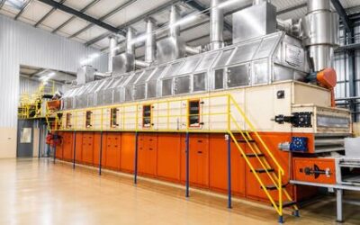 The Ultimate All-in-One Guide to Combination Tray Type Fluidised Bed Dryers