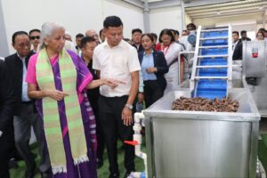 Multilayer tray type belt dryer