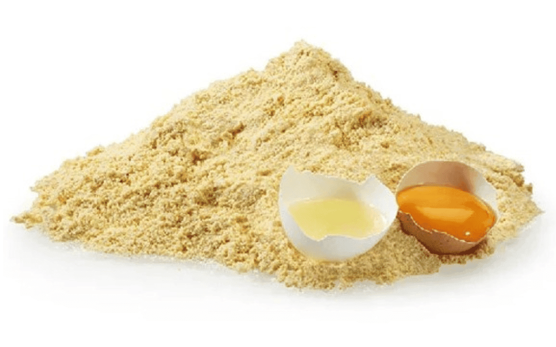 egg processing plant