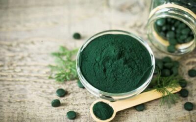 Unlocking the Blue Economy: The Science and Tech Behind Algae, Seaweed, and Carrageenan Dehydration
