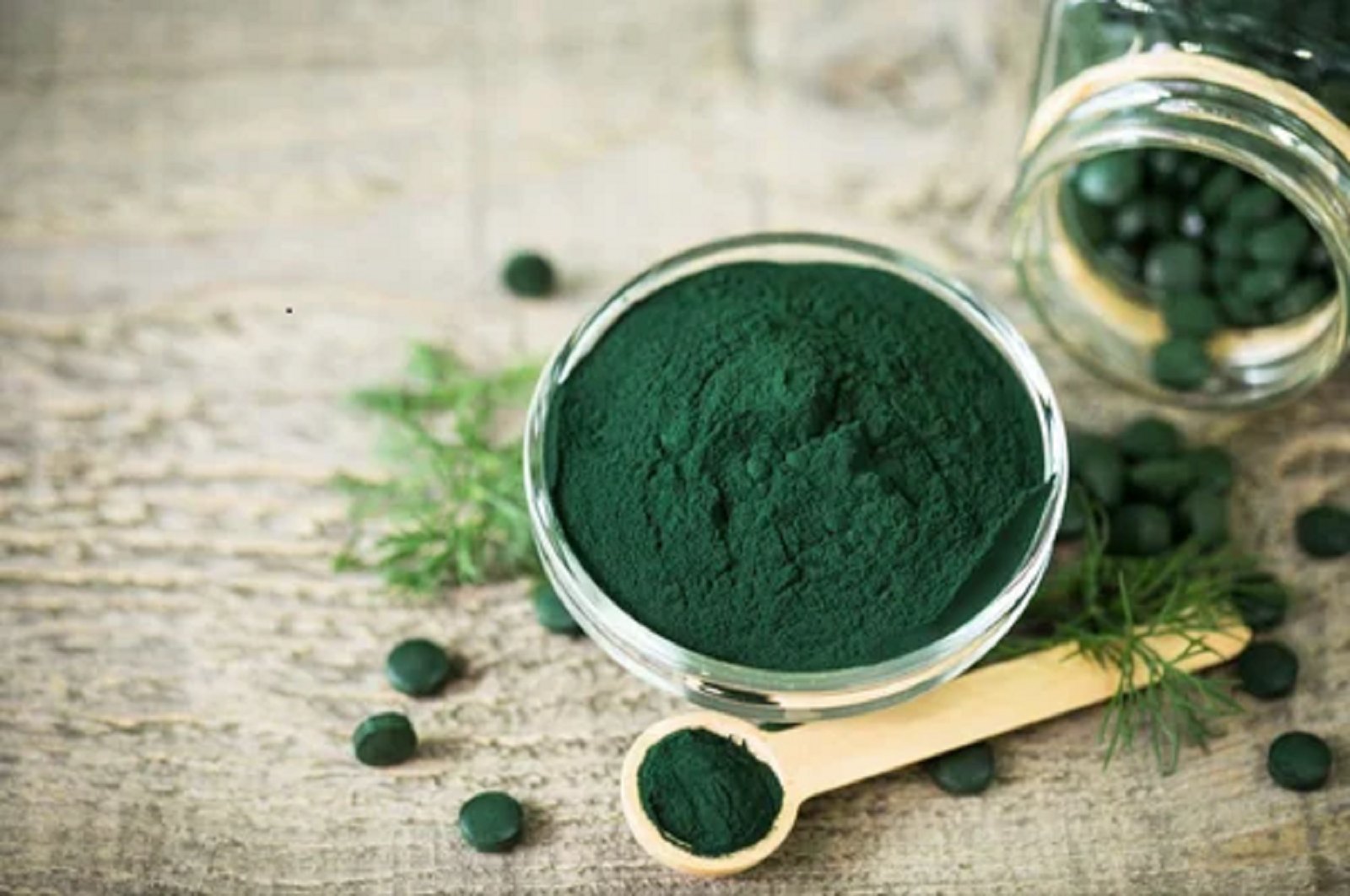 Spirulina Processing Plant