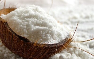 Navigating the Shift: High Fat vs. Low Fat Desiccated Coconut Processing Machinery & Dryer Selection