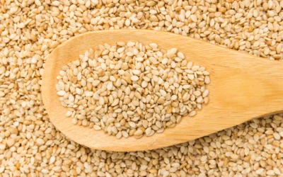 The Blueprint for Gold-Standard Sesame: Inside Industrial Dryers and Oil Processing Plants