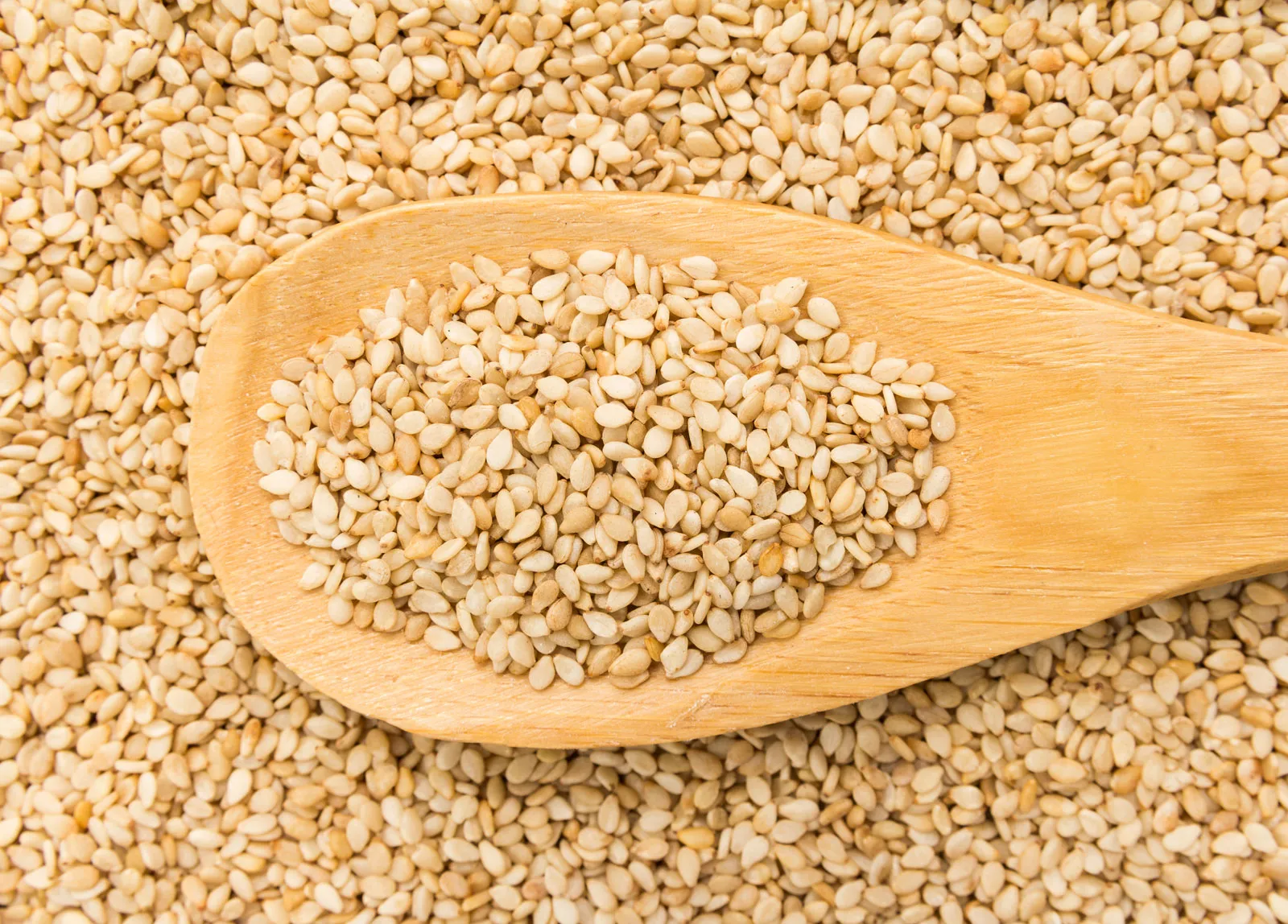 sesame