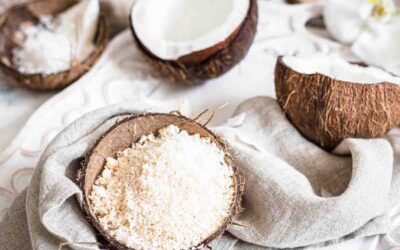 Coconut Processing Machinery in Ghana, Nigeria, and Ivory Coast: The Ultimate Guide to Industrializing West Africa’s Coconut Sector