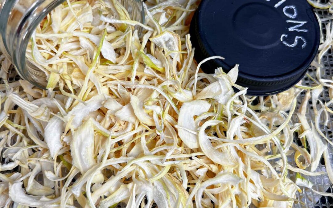 Comprehensive Technical Guide: Onion Flakes & Powder Processing Machines