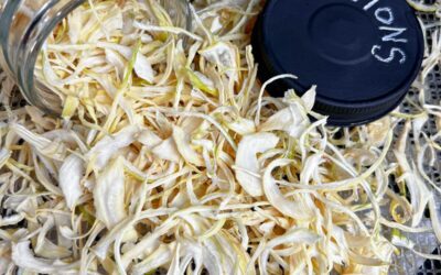 Comprehensive Technical Guide: Onion Flakes & Powder Processing Machines