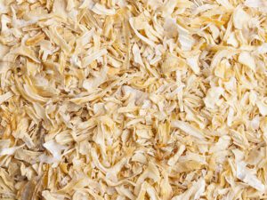 onion dryer manufacturers in India