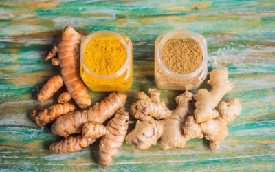 The Complete Engineering Guide to Industrial Ginger & Turmeric Processing, Boiling & Dehydration Technology