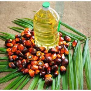 Palm Oil Dehydration Systems