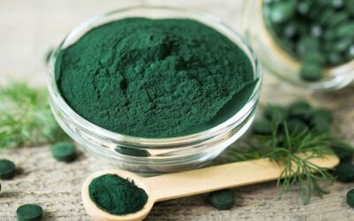 Genex Tech Industries Exports Advanced Spirulina Processing & Refractance Window Drying System to Portugal