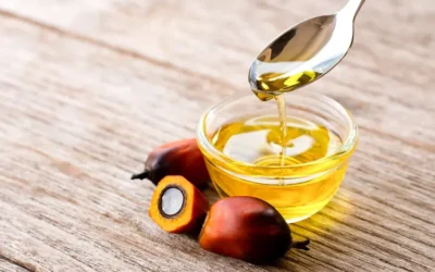 Palm Oil Dehydration Systems: Complete Guide to Industrial Drying Solutions for the Palm Oil Industry