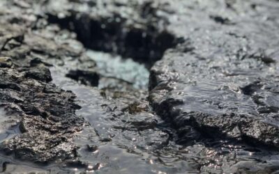The Ultimate Guide to Industrial Sludge Drying: Transforming Costly Liability into High-Value Resource