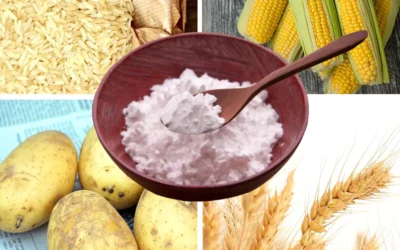 Complete Guide to Industrial Starch Dehydration: Selecting the Ultimate Drying Technology for Native and Modified Starches