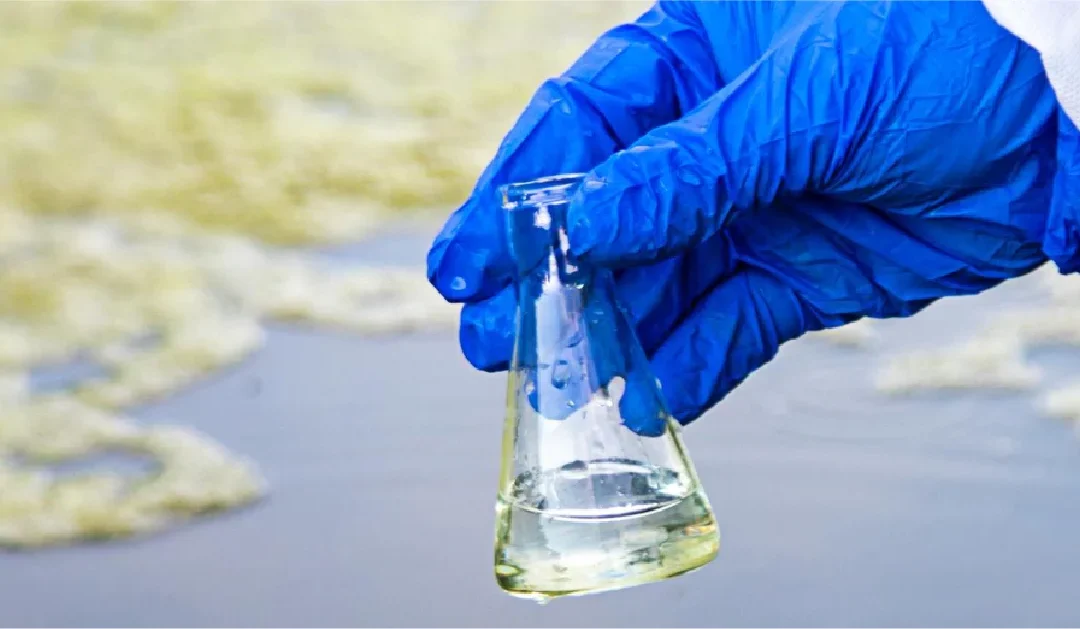 Dryer Manufacturers of Water-Treatment and Specialty Inorganic Chemicals