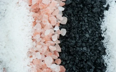 Industrial Dryer Manufacturers of Bulk Inorganic Chemicals and Salts: The Comprehensive Engineering Guide