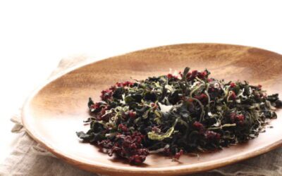 Seaweed, Kelp, Carrageenan, Algae Dryer Machine Manufacturers USA & Canada