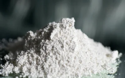 Industrial Drying Systems for Specialty Powders, Functional Additives, and Fine Chemicals: The Complete Engineering Guide