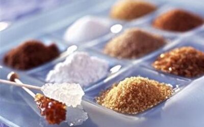 Comprehensive Technical Guide: Industrial Drying Technologies for Additional Inorganic Salts, Hydrated Compounds, and Metal Hydroxide Precipitates