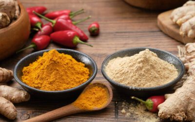 Industrial Ginger & Turmeric Dehydration Systems: Modern Processing Solutions for Export-Grade Spices