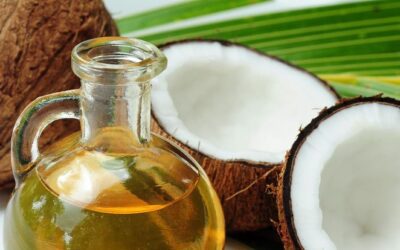Ultimate Comprehensive Technical Guide to Turnkey Coconut Biodiesel Processing Plants and Industrial Drying Systems
