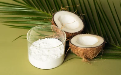 Comprehensive Guide to Coconut Milk Powder Processing Plants: Technology, Engineering, Machinery, and Industrial Dryers