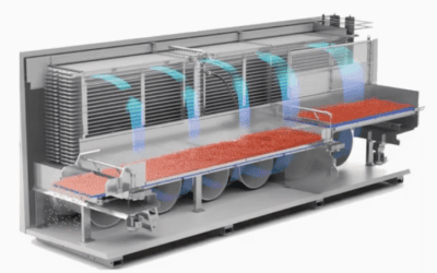 IQF Frozen Food Processing Plant: Machinery, Process Flow & Plant Setup