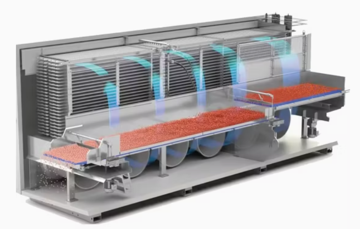 IQF Frozen Food Processing Plant: Machinery, Process Flow & Plant Setup