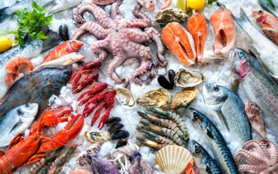 Seafood Processing Plant: Complete Machinery Guide for Fish, Shrimp & Frozen Seafood Export