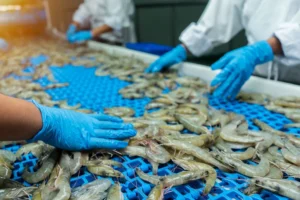 seafood processing plant